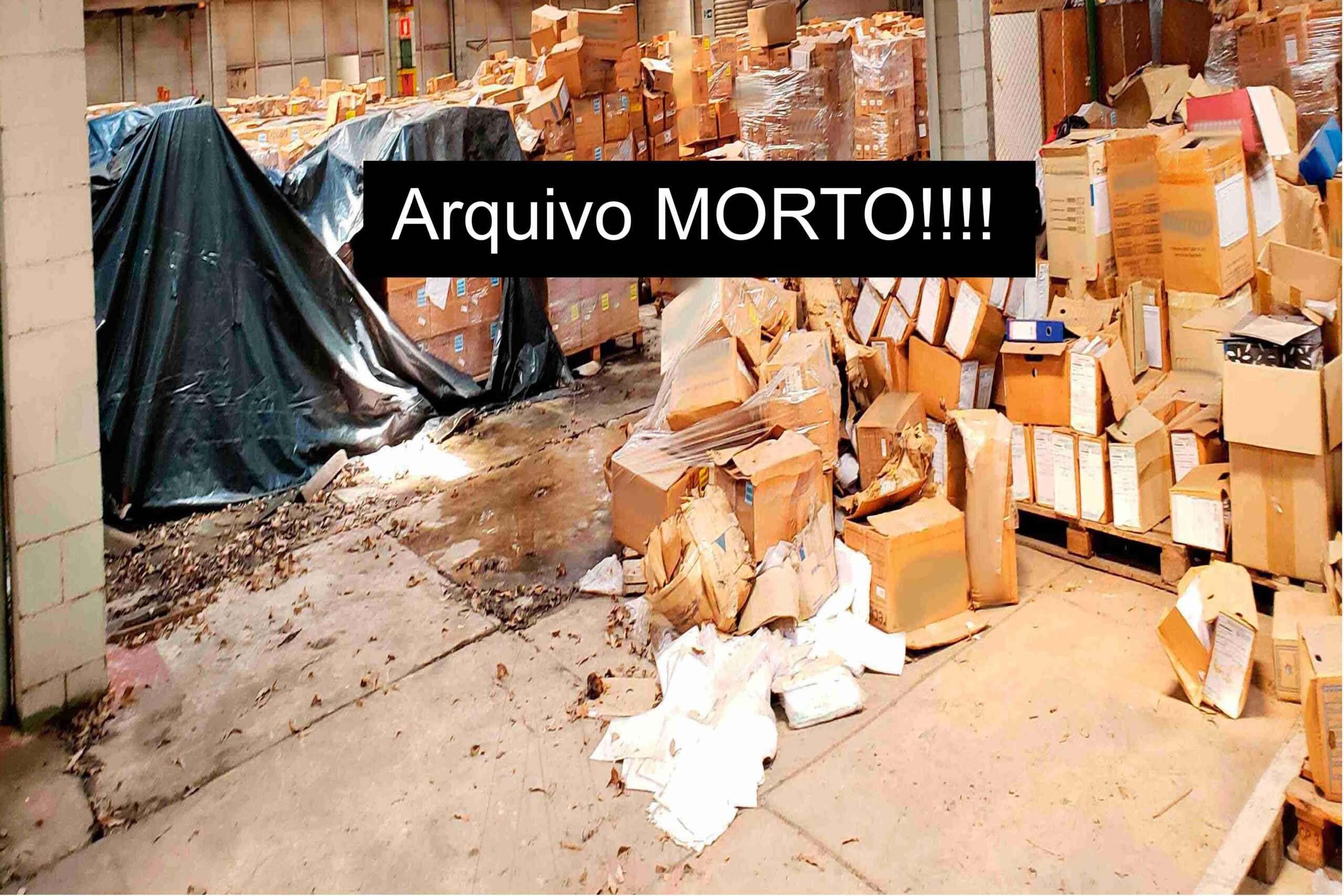 empresa de Arquivo morto